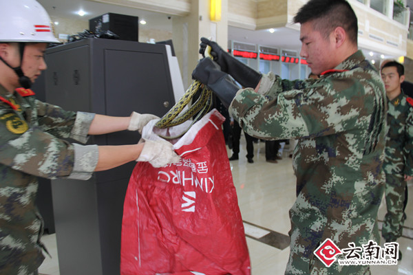 銀行取票機里跳出“菜花蛇” 云南綏江消防擒蛇放生