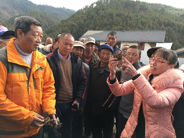 云南白藥精準扶貧惠及維西687貧困戶