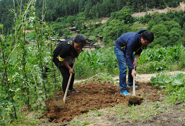 云南白藥精準扶貧惠及維西687貧困戶