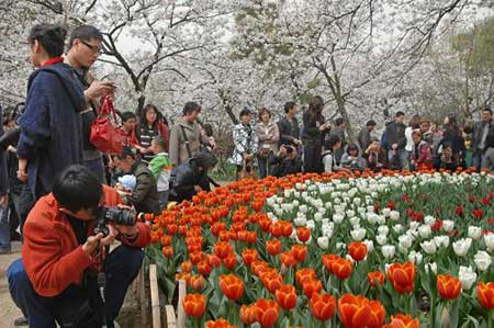 春到浙江不覺遲 踏青賞花正當時