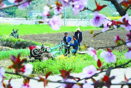 春到浙江風(fēng)光好