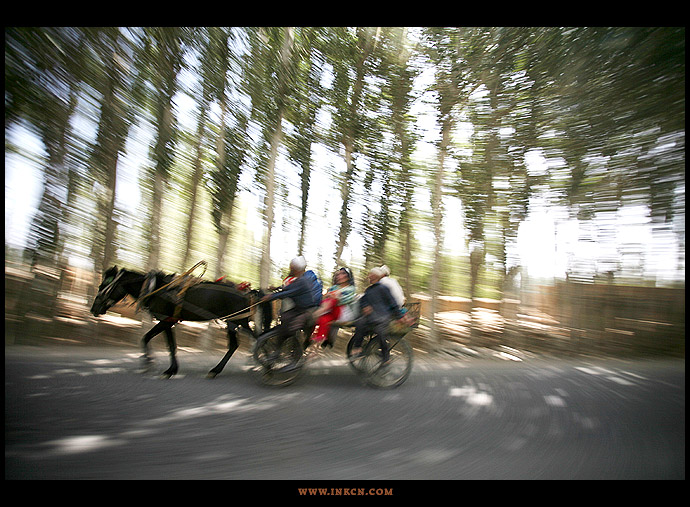 Experiencing Xinjiang (III)