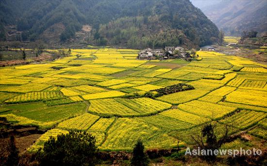 Full of the joys of spring