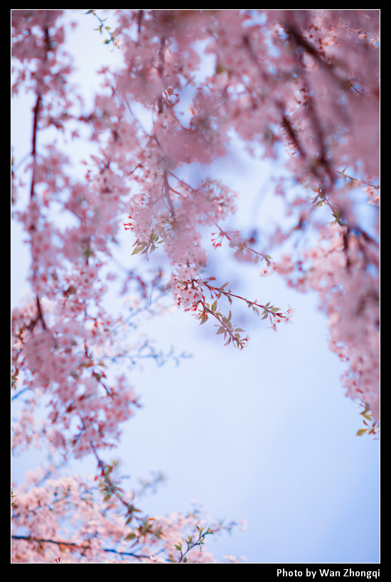 Wan Zhongqi's photography shows emotions