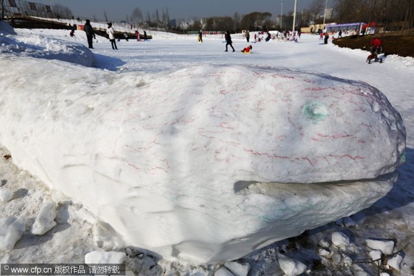 Joy and misery of bitter cold