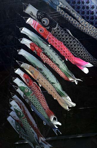 日本：鯉魚上天保佑平安