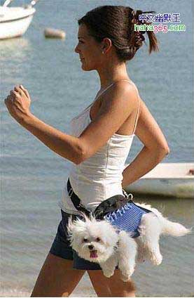 你從沒想到過“最高境界”（3）