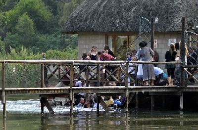 南非婚禮現場露臺坍塌 80名賓客成落湯雞