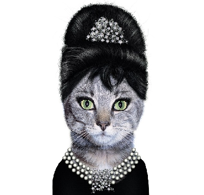 動物扮名士 美搞怪掛歷雷翻人