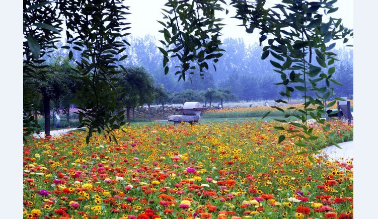 第三屆北京菊花文化節正式開幕(組圖)
