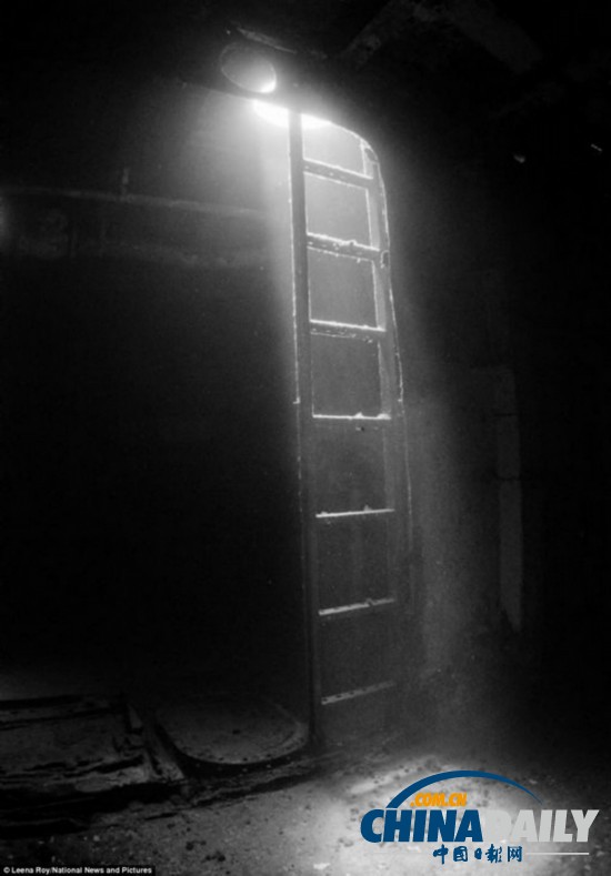 水下攝影大賽：裸女萌海豹兇殘鯊魚