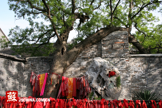 泰州溱潼 讓人陶醉的蘇北特色文化古鎮