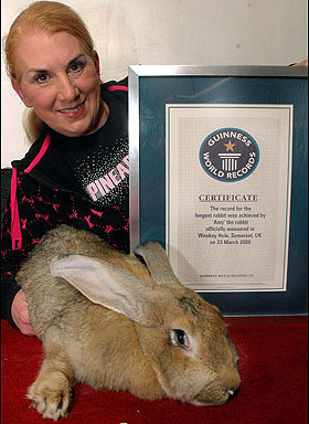 全球體積最大兔離奇去世 疑拍紀錄片怯場誘發心臟病