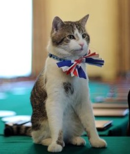 花絮：矮個衛兵成明星 卡梅倫“故地重游”