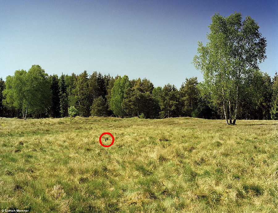 德國軍隊(duì)狙擊手藏身術(shù)：與自然融為一體