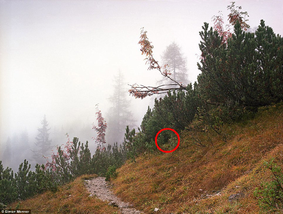 德國軍隊狙擊手藏身術:與自然融為一體