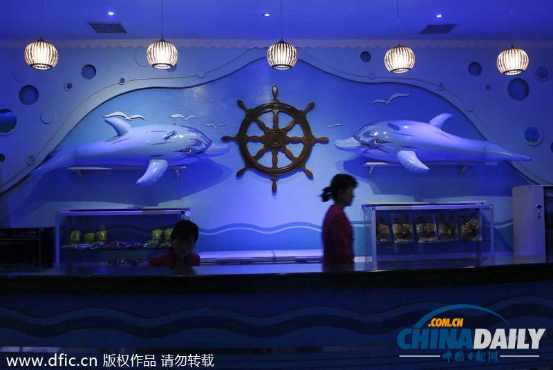 朝鮮民眾觀看海豚表演