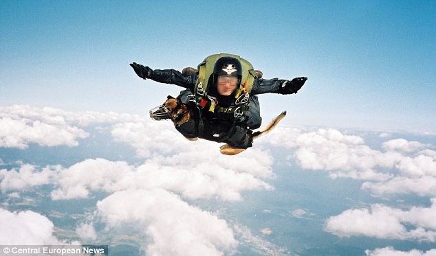 特種兵帶嗅探犬從一萬英尺高空練習(xí)跳傘