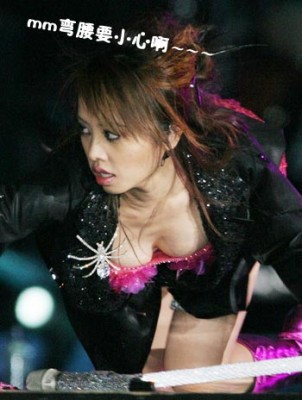 蔡依林從A杯升級到D杯(圖)