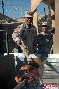 看了這個你就知道為啥美軍很多胖子