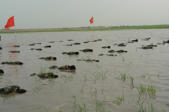 極限訓練那點事