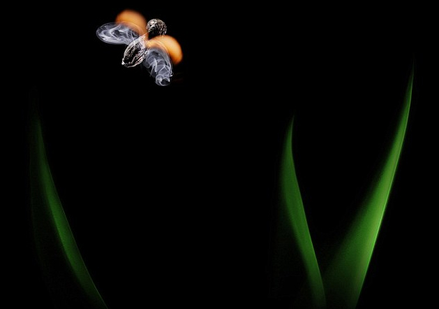 奇妙的作品！俄藝術家用火柴與火苗創造動物形象