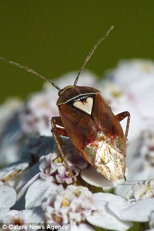 世界充滿愛！外媒展示一系列心形圖片為情人節(jié)預(yù)熱