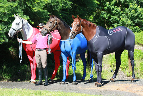 倫敦奧運會參賽馬或穿專門服裝 可助其迅速恢復體力