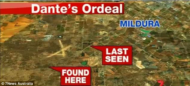 澳幼童雷雨天迷失叢林 忠犬守護(hù)14小時終得救