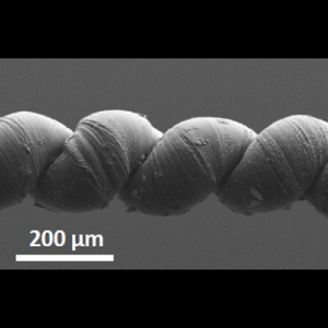科學(xué)家研發(fā)新型人造肌肉 可提起自身重量的10萬倍