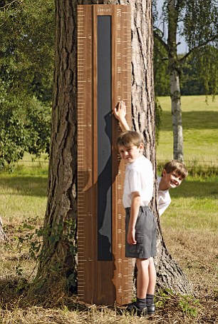 鑲鉆iphone真金吸塵器 世界最貴禮物閃瞎你的眼