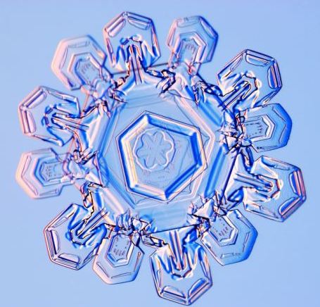 怎一個美字了得！美國科學家帶你圣誕看雪花(圖)