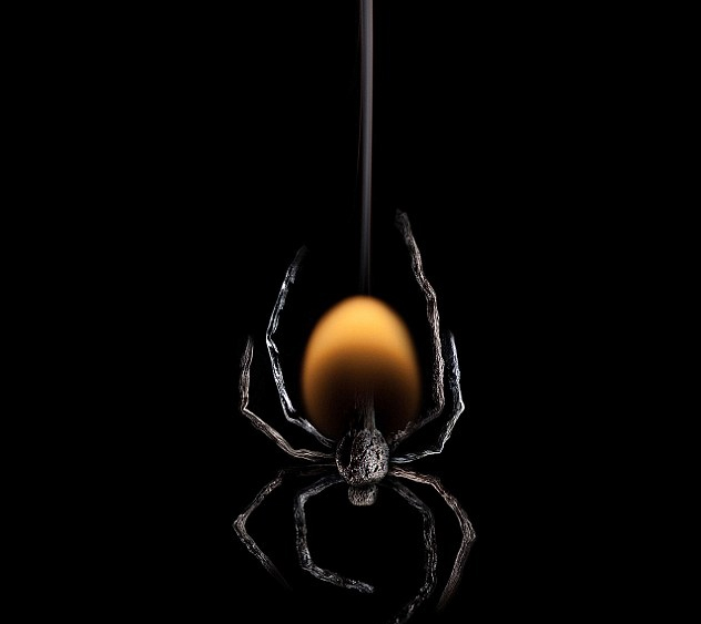 英王室鉆石展“奢華”登場(chǎng) 2012國(guó)際style之絕色美圖篇