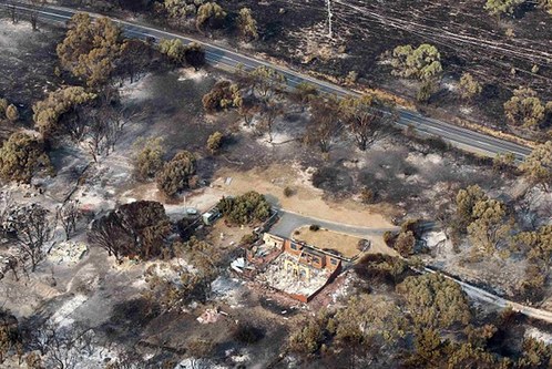 澳大利亞?wèn)|南部島嶼火災(zāi)肆虐 已致100多人失蹤