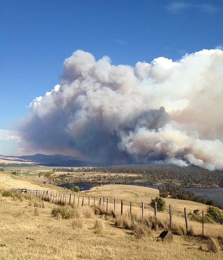 澳大利亞東南部島嶼火災肆虐 已致100多人失蹤