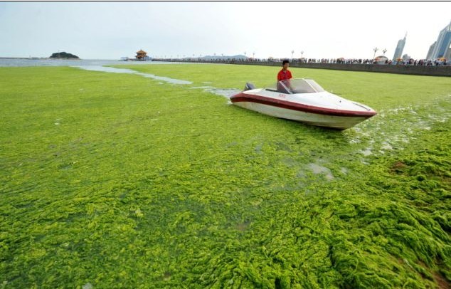 美科學家打造“萬能材料” 可生產盔甲和手機屏幕
