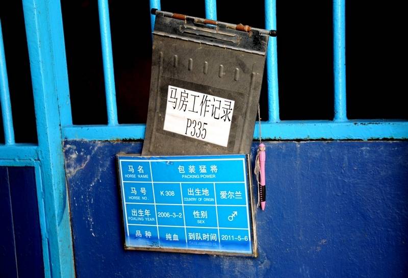 每匹馬養護成本2500元/月?探秘大連女騎警訓練基地