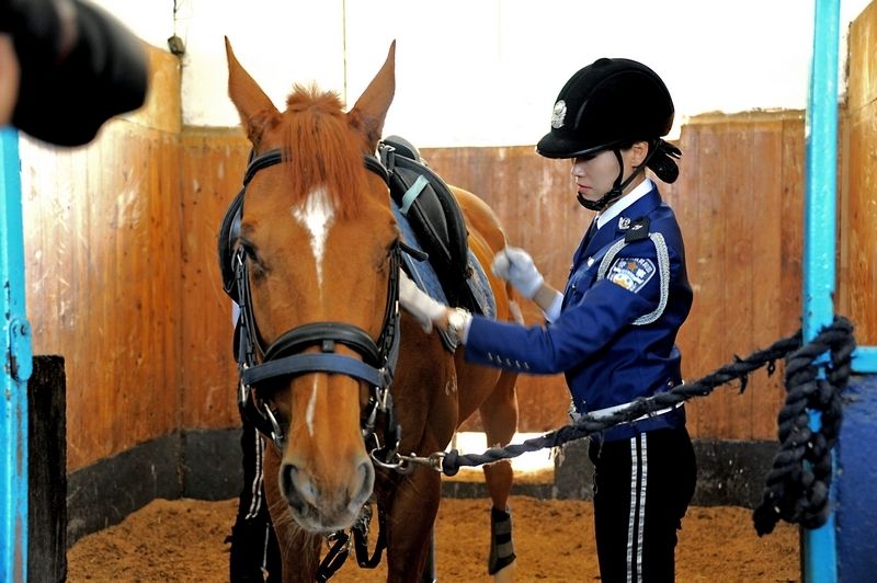 每匹馬養護成本2500元/月?探秘大連女騎警訓練基地