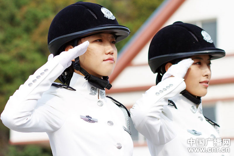 每匹馬養護成本2500元/月?探秘大連女騎警訓練基地