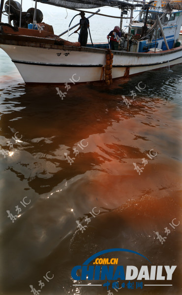 韓國赤潮致死魚成堆 漁民投黃土應對（高清組圖）