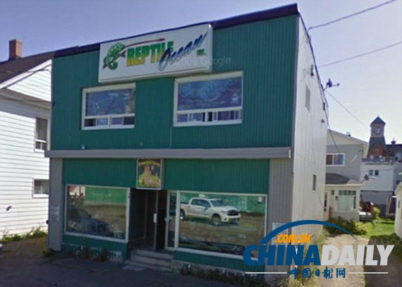 加拿大兩男童睡夢中遭蟒蛇襲擊身亡 肇事蛇被捉