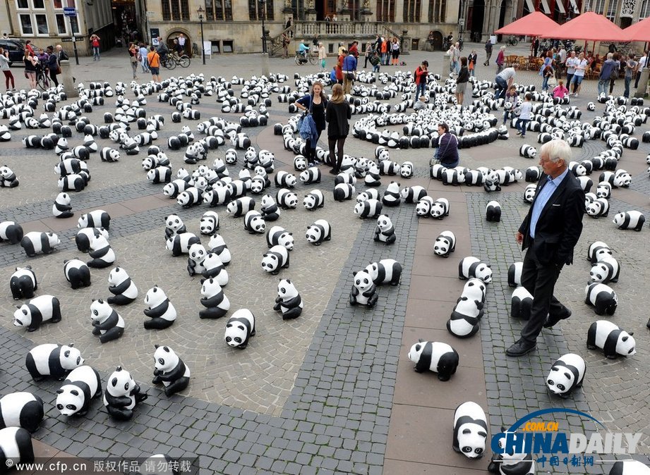 大熊貓“宣傳隊”轉戰德國不來梅 超萌可愛引圍觀（高清組圖）