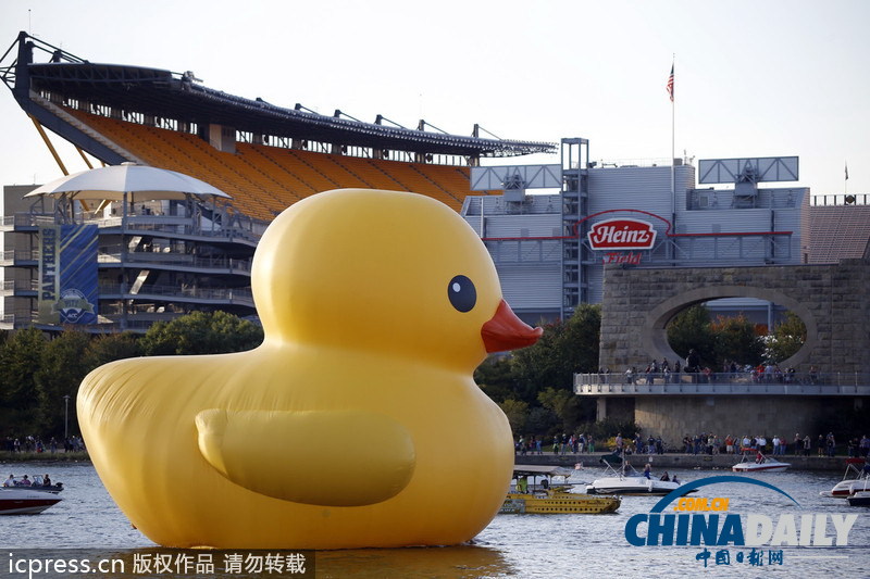 大黃鴨亮相美國匹茲堡引數千人圍觀