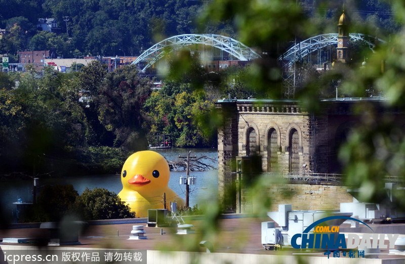 大黃鴨亮相美國匹茲堡引數千人圍觀
