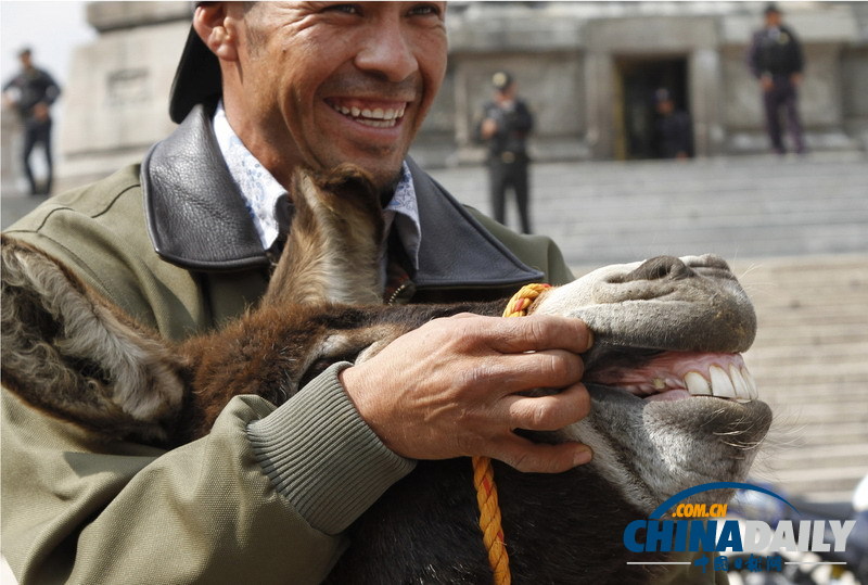 墨西哥農(nóng)民騎驢騎馬示威 要求提高農(nóng)產(chǎn)品價(jià)格