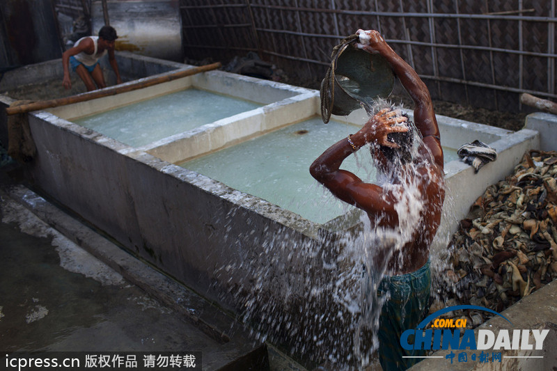 圖片故事：孟加拉國人在因造皮革受污染環(huán)境中生活