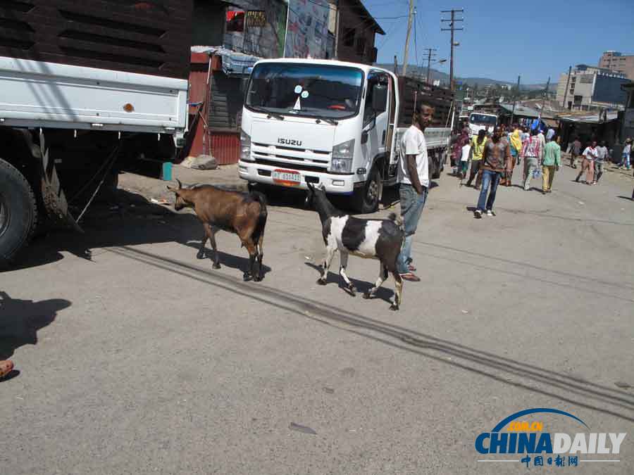 中國日報記者眼中的埃塞俄比亞
