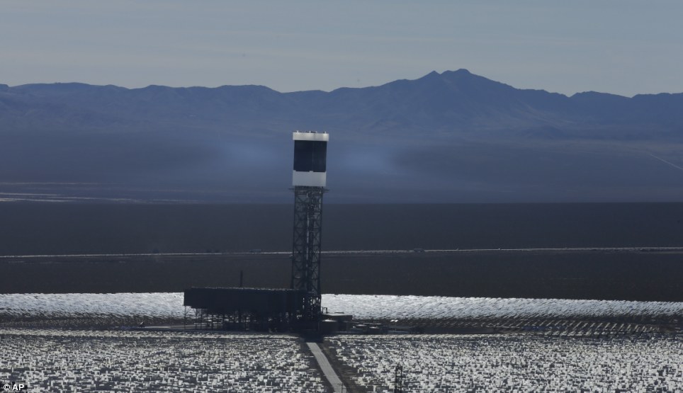 世界最大太陽能發電廠挨批 飛鳥誤闖后羽毛被烤焦