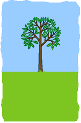 Arbor Day（植樹節）