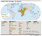 Valentine's Day(浪漫情人節)